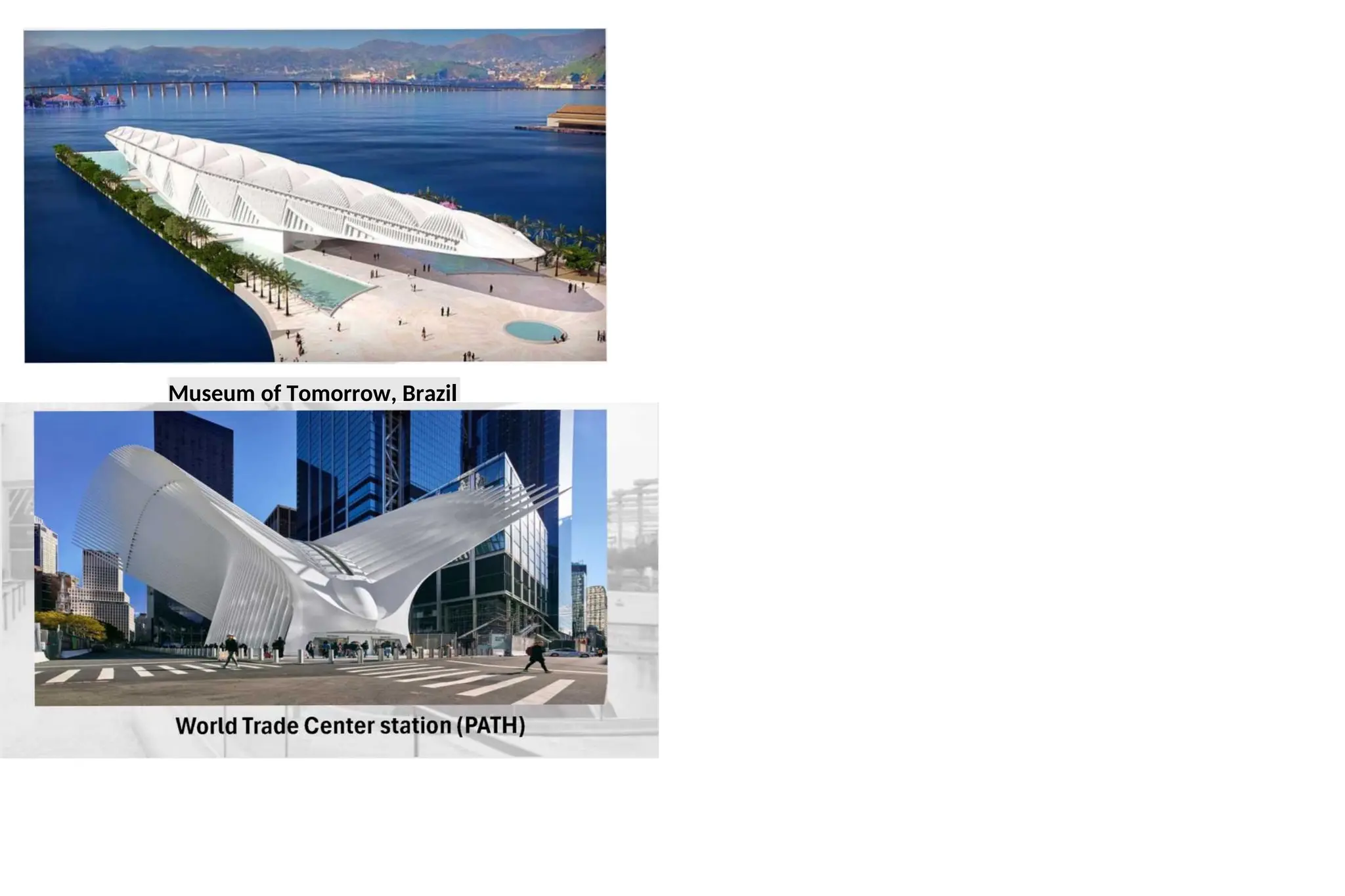 Museum of Tomorrow, Brazil
 