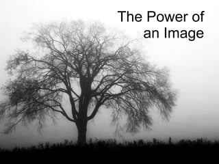 The Power of an Image 