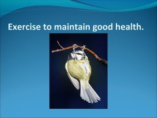Exercise to maintain good health.
 