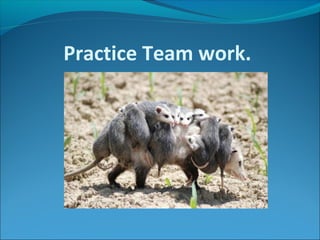 Practice Team work.
 
