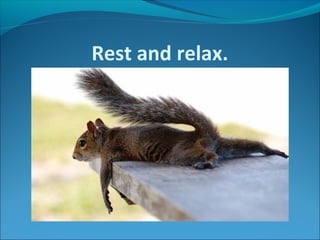 Rest and relax.
 