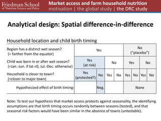 Analytical design: Spatial difference-in-difference 
Household location and child birth timing 
Region has a distinct wet season? 
(= farther from the equator) 
Yes 
No 
(“placebo”) 
Child was born in or after wet season? 
(=Jan.-Jun. if lat.<0, Jul.-Dec. otherwise) 
Yes 
(at risk) 
No 
Yes 
No 
Household is closer to town? 
(=closer to major town) 
Yes 
(protected?) 
No 
Yes 
No 
Yes 
No 
Yes 
No 
Hypothesized effect of birth timing: 
Neg. 
None 
Note: To test our hypothesis that market access protects against seasonality, the identifying assumptions are that birth timing occurs randomly between seasons (tested), and that seasonal risk factors would have been similar in the absence of towns (untestable). 
Market access and farm household nutrition motivation | the global study | the DRC study  