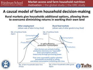 A causal model of farm household decision-making 
Market access and farm household nutrition motivation | the global study | the DRC study 
Qty. of nutritious foods 
(kg/yr) 
Qty. of farm household’s labor time (hrs/yr) 
Qty. of farm household’s other goods (kg/yr) 
Other employment 
(allows sale of labor to buy food) 
Rural markets give households additional options, allowing them to overcome diminishing returns in working their own land 
Qty. of nutritious foods 
(kg/yr) 
Once farmers are actively trading, production decisions are “separable” from consumption choices, 
linked only through purchasing power 
Rural food markets 
(allows sale of other goods to buy food) 
In self-sufficiency, production =consumption 
Consumption 
Production 
Consumption 
Production 
That same separability applies whether households are buying or selling, 
and allows consumption smoothing over time  