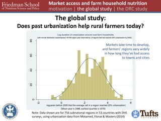 The global study: 
Does past urbanization help rural farmers today? 
Market access and farm household nutrition 
motivation | the global study | the DRC study 
0 
20 40 60 80 
number of regions 
-2 0 2 4 6 
log(years before 2000 that the average cell in a region reached 25% urbanization) 
(with normal distribution superimposed, N=756 region-year observations, of regions that had reached 25% urbanization by 2000) 
Log duration of urbanization around rural farm households 
Note: Data shown are for 756 subnational regions in 53 countries with DHS 
surveys, using urbanization data from Motamed, Florax & Masters (2014) 
(Mean year is 1988, earliest quartile is 1970) 
Markets take time to develop, 
and farmers’ regions vary widely 
in how long they’ve had access 
to towns and cities 
 