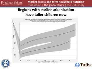 Regions with earlier urbanization have taller children now 
Market access and farm household nutrition motivation | the global study | the DRC study 
-1.6-1.55-1.5-1.45-1.4-1.35Child mean HAZ 66.577.588.59Log of World Bank GNI at PPP prices(N=1171 observations from 143 DHS surveys in 57 countries with 520 subnational regions; dashed line shows subnational regions that reached 25% urbanization before 1995Mean HAZ for rural farm children at each level of national income, by timing of urbanization  