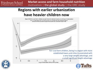 Regions with earlier urbanization 
have heavier children now 
Market access and farm household nutrition 
motivation | the global study | the DRC study 
-.6 -.4 -.2 
0 
Child mean WHZ 
6 6.5 7 7.5 8 8.5 9 
Log of World Bank GNI at PPP prices 
(N=1171 observations from 143 DHS surveys in 57 countries with 520 subnational regions; 
dashed line shows subnational regions that reached 25% urbanization before 1995 
Mean WHZ for rural farm children at each level of national income, by timing of urbanization 
For rural farm children, being in a region with more 
established towns and cities is associated with 
a very large weight advantage, and 
a small significant height advantage 
 