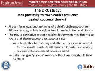The DRC study: Does proximity to town confer resilience against seasonal shocks? 
•At each farm location, the timing of a child’s birth exposes them differently to agroclimatic risk factors for malnutrition and disease 
•The DRC is distinctive in that households vary widely in distance to towns and also in exposure to seasonal risks 
–We ask whether birth during and after wet seasons is harmful, 
•For more remote households with less access to markets and services, 
•In regions with more seasonal variation in rainfall 
–Birth timing in “placebo” regions without seasons should have no effect 
Market access and farm household nutrition motivation | the global study | the DRC study  