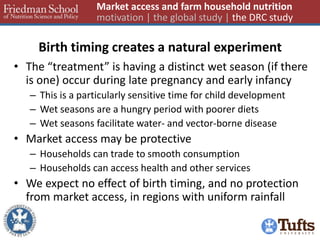 Birth timing creates a natural experiment 
•The “treatment” is having a distinct wet season (if there is one) occur during late pregnancy and early infancy 
–This is a particularly sensitive time for child development 
–Wet seasons are a hungry period with poorer diets 
–Wet seasons facilitate water- and vector-borne disease 
•Market access may be protective 
–Households can trade to smooth consumption 
–Households can access health and other services 
•We expect no effect of birth timing, and no protection from market access, in regions with uniform rainfall 
Market access and farm household nutrition motivation | the global study | the DRC study  