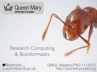 Research Computing
& Bioinformatics
@yannick__
y.wurm@qmul.ac.uk

QMUL Masters/PhD 11-2013
http://yannick.poulet.org

 