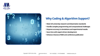 Expert Coding & Algorithm Development Support for UK Engineering ...