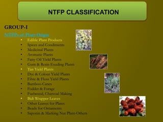 OVERVIEW OF NTFP | PPTX