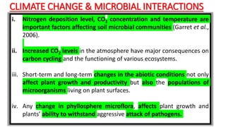 CLIMATE CHANGE & MICROBIAL INTERACTIONS
i. Nitrogen deposition level, CO2 concentration and temperature are
important factors affecting soil microbial communities (Garret et al.,
2006).
ii. Increased CO2 levels in the atmosphere have major consequences on
carbon cycling and the functioning of various ecosystems.
iii. Short-term and long-term changes in the abiotic conditions not only
affect plant growth and productivity but also the populations of
microorganisms living on plant surfaces.
iv. Any change in phyllosphere microflora, affects plant growth and
plants’ ability to withstand aggressive attack of pathogens.
 