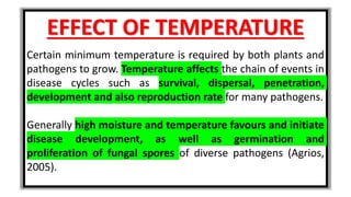 EFFECT OF TEMPERATURE
Certain minimum temperature is required by both plants and
pathogens to grow. Temperature affects the chain of events in
disease cycles such as survival, dispersal, penetration,
development and also reproduction rate for many pathogens.
Generally high moisture and temperature favours and initiate
disease development, as well as germination and
proliferation of fungal spores of diverse pathogens (Agrios,
2005).
 
