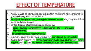 EFFECT OF TEMPERATURE
• Plants, as well as pathogens, require certain minimum temperatures to
growandcarryout their activities.
• At higher temperatures, pathogens become active and, they can infect
plants andcausedisease.
• Cankerdiseasesof perennial plants causedby:
 fungi Nectria, Leucostoma (Cytospora), the oomycete
Phytophthora
 bybacteriasuchas Pseudomonas,
• Infections beginanddevelop primarily in earlyspring or in thefall.
• During these periods the temperatures are high enough for these fungi
to growwell but aretoo low to allow optimum hostdevelopment.
 