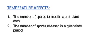 TEMPERATURE AFFECTS:
1. The number of spores formed in aunit plant
area.
2. The number of spores released in a given time
period.
 