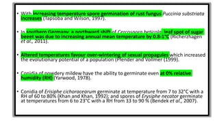 • With increasing temperature spore germination of rust fungus Puccinia substriata
increases (Tapsoba and Wilson, 1997).
• In southern Germany, a northward shift of Cercospora beticola, leaf spot of sugar
beeet was due to increasing annual mean temperature by 0.8-1°C (Richerzhagen
et al., 2011).
• Altered temperatures favour over-wintering of sexual propagules which increased
the evolutionary potential of a population (Pfender and Vollmer (1999).
• Conidia of powdery mildew have the ability to germinate even at 0% relative
humidity (RH) (Yarwood, 1978).
• Conidia of Erisiphe cichoracearum germinate at temperature from 7 to 32°C with a
RH of 60 to 80% (Khan and Khan, 1992); and spores of Erysiphe necator germinate
at temperatures from 6 to 23°C with a RH from 33 to 90 % (Bendek et al., 2007).
 