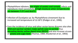 • Phytophthora infestans, late blight of potato and tomato, infects and
reproduces most successfully at high moisture when temperatures
are between 7.2°C and 26.8°C.
• Infection of Eucalyptus sp. by Phytophthora cinnamomi due to
increased soil temperature of 12-30°C (Podger et al., 1990).
• Even the incidence of virus and other vector borne diseases also alter.
Mild and warmer winters make aphids easy to survive thus
spreading Barley yellow dwarf virus (BYDV) and also increase viruses
of potato and sugar beet (Thomas, 1989; Mackerron et al., 1993).
 
