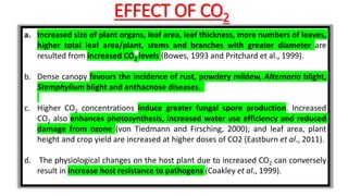 EFFECT OF CO2
a. Increased size of plant organs, leaf area, leaf thickness, more numbers of leaves,
higher total leaf area/plant, stems and branches with greater diameter are
resulted from increased CO2 levels (Bowes, 1993 and Pritchard et al., 1999).
b. Dense canopy favours the incidence of rust, powdery mildew, Alternaria blight,
Stemphylium blight and anthacnose diseases.
c. Higher CO2 concentrations induce greater fungal spore production. Increased
CO2 also enhances photosynthesis, increased water use efficiency and reduced
damage from ozone (von Tiedmann and Firsching, 2000); and leaf area, plant
height and crop yield are increased at higher doses of CO2 (Eastburn et al., 2011).
d. The physiological changes on the host plant due to increased CO2 can conversely
result in increase host resistance to pathogens (Coakley et al., 1999).
 