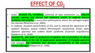EFFECT OF C02
i. Under elevated CO2 conditions, potential of dual mechanism i.e., reduced
stomata opening and altered leaf chemistry results in reduced disease
incidence and severity in many plant pathosystems where the pathogen targets
the stomata (Mcelrone et al., 2005).
ii. In soybean, elevated concentration of CO2 and O3 altered the expression of 3
soybean diseases, downy mildew (Perenospora manshurica), brown spots
(Septoria glycines) and sudden death syndrome (Fusarium virguliforme)
(Eastburn et al., 2010).
iii. Elevated CO2 also leads to production of papillae and accumulation of silicon
by barley plants at the site of appressorial penetration of Erysiphe graminis
and changed leaf chemistry that decrease susceptibility to the powdery
mildew pathogen (Hibberd et al., 1996).
 