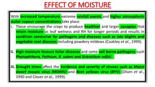 EFFECT OF MOISTURE
With increased temperature extreme rainfall events and higher atmospheric
water vapour concentrations take place.
i. These encourage the crops to produce healthier and larger canopies that
retain moisture as leaf wetness and RH for longer periods and results in
condition conducive for pathogens and diseases such as late blights and
vegetable root diseases including powdery mildews (Coakley et al., 1999).
ii. High moisture favours foliar diseases and some soil borne pathogens such
Phytophthora, Pythium, R. solani and Sclerotium rolfsii.
iii. Drought stress affect the incidence and severity of viruses such as Maize
dwarf mosaic virus (MDMV) and Beet yellows virus (BYV) (Olsen et al.,
1990 and Clover et al., 1999).
 