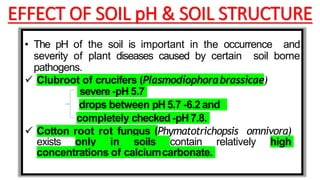 EFFECT OF SOIL pH & SOIL STRUCTURE
• The pH of the soil is important in the occurrence and
severity of plant diseases caused by certain soil borne
pathogens.
 Clubroot of crucifers (Plasmodiophorabrassicae)
severe -pH 5.7
drops between pH5.7 -6.2 and
completely checked -pH7.8.
 Cotton root rot fungus (Phymatotrichopsis omnivora)
exists only in soils contain relatively high
concentrations of calciumcarbonate.
 