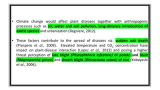 • Climate change would affect plant diseases together with anthropogenic
processes such as air, water and soil pollution, long-distance introduction of
exotic species and urbanization (Regniere, 2012).
• These factors contribute to the spread of diseases viz. sudden oak death
(Prospero et al., 2009). Elevated temperature and CO2 concentration have
impact on plant-disease interaction (Lopez et al., 2012) and posing a higher
threat perception of late blight (Phytophthora infestans) of potato and blast
(Magnaporthe grisea) and sheath blight (Rhizoctonia solani) of rice (Kobayashi
et al., 2006).
 