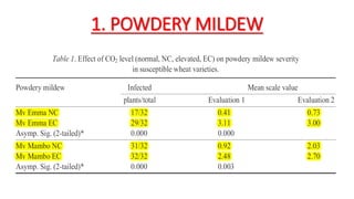 1. POWDERY MILDEW
 