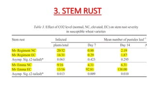 3. STEM RUST
 