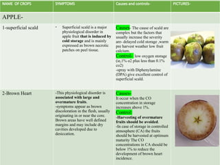 NAME OF CROPS SYMPTOMS Causes and controls- PICTURES-
APPLE-
1-superficial scald - Superficial scald is a major
physiological disorder in
apple fruit that is induced by
cold storage and is mainly
expressed as brown necrotic
patches on peel tissue.
Causes- The cause of scald are
complex but the factors that
usually increase the severity
are- delayed cold storage ,warm
pre harvest weather low fruit
calcium.
Control- low oxygen storage
(ie,1% o2 plus less than 0.1%
co2)
-spray with Diphenylamine
(DPA) give excellent control of
superficial scald.
2-Brown Heart -This physiological disorder is
associated with large and
overmature fruits.
-symptoms appear as brown
discoloration in the flesh, usually
originating in or near the core.
Brown areas have well defined
margins and may include dry
cavities developed due to
desiccation.
Causes-
It occur when the CO
concentration in storage
increases above 1%.
Control:
-Harvesting of overmature
fruits should be avoided.
-In case of storage in controlled
atmosphere (CA) the fruits
should be harvested at optimum
maturity The CO
concentrations in CA should be
below 1% to reduce the
development of brown heart
incidence.
 