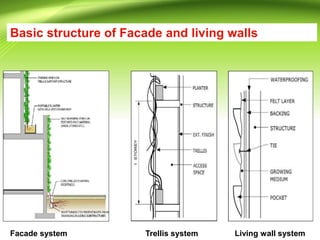 Basic structure of Facade and living walls
Living wall system
Trellis system
Facade system
 