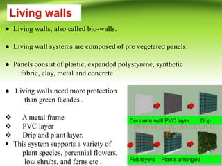 ● Living walls, also called bio-walls.
● Living wall systems are composed of pre vegetated panels.
● Panels consist of plastic, expanded polystyrene, synthetic
fabric, clay, metal and concrete
● Living walls need more protection
than green facades .
 A metal frame
 PVC layer
 Drip and plant layer.
 This system supports a variety of
plant species, perennial flowers,
low shrubs, and ferns etc .
Living walls
Concrete wall PVC layer Drip
Felt layers Plants arranged
 