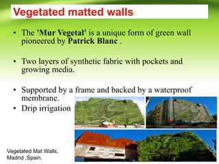 Vegetated matted walls
• The 'Mur Vegetal' is a unique form of green wall
pioneered by Patrick Blanc .
• Two layers of synthetic fabric with pockets and
growing media.
• Supported by a frame and backed by a waterproof
membrane.
• Drip irrigation
Vegetated Mat Walls,
Madrid ,Spain.
 