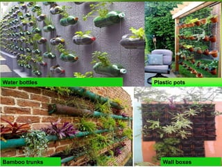 Water bottles
Bamboo trunks Wall boxes
Plastic pots
 