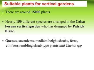 Suitable plants for vertical gardens
• There are around 15000 plants
• Nearly 150 different species are arranged in the Caixa
Forum vertical garden who has designed by Patrick
Blanc.
• Grasses, succulents, medium height shrubs, ferns,
climbers,rambling shrub type plants and Cactus spp
 