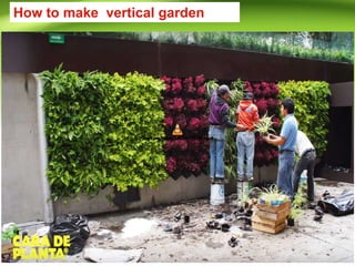 How to make vertical garden
 