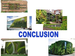 Vertical garden concept and establishment