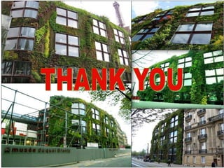 Vertical garden concept and establishment