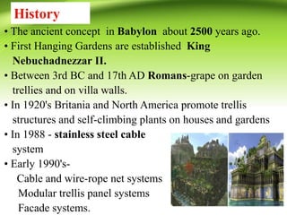 History
• The ancient concept in Babylon about 2500 years ago.
• First Hanging Gardens are established King
Nebuchadnezzar II.
• Between 3rd BC and 17th AD Romans-grape on garden
trellies and on villa walls.
• In 1920's Britania and North America promote trellis
structures and self-climbing plants on houses and gardens
• In 1988 - stainless steel cable
system
• Early 1990's-
Cable and wire-rope net systems
Modular trellis panel systems
Facade systems.
 