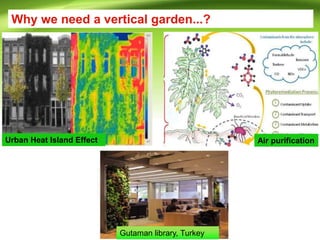 Why we need a vertical garden...?
Gutaman library, Turkey
Air purification
Urban Heat Island Effect
 