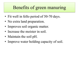 Benefits of green manuring
• Fit well in fello period of 50-70 days.
• No extra land preparation.
• Improves soil organic matter.
• Increase the moister in soil.
• Maintain the soil pH.
• Improve water holding capacity of soil.
 