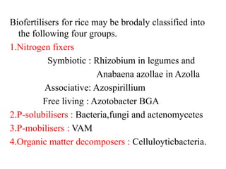Biofertilisers for rice may be brodaly classified into
the following four groups.
1.Nitrogen fixers
Symbiotic : Rhizobium in legumes and
Anabaena azollae in Azolla
Associative: Azospirillium
Free living : Azotobacter BGA
2.P-solubilisers : Bacteria,fungi and actenomycetes
3.P-mobilisers : VAM
4.Organic matter decomposers : Celluloyticbacteria.
 