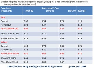 Effect of integrated nutrient management on grain yield(kg/ha) of rice and wheat grown in a sequence
(average data of 3 consecutive years)
Promising
treatments
Grain yield (t/ha)
1984-87 1990-93 1996-99 2000-03
RICE
Control 2.00 1.54 1.20 1.25
R100W100 3.94 4.37 3.96 3.43
R50+50FYMW100 2.99 4.47 4.27 3.53
R50+50WCS W100 3.41 4.19 3.47 3.04
R50+50GM W100 3.23 4.34 3.89 3.25
Wheat
Control 1.30 0.74 0.64 0.71
R100 W100 3.42 3.25 3.53 3.64
R50+50FYM W100 3.41 3.45 3.88 3.71
R50+WCS W100 3.04 2.99 3.26 3.21
R50+50GM W100 3.16 3.03 3.47 3.50
 