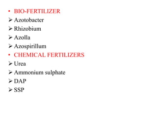 • BIO-FERTILIZER
 Azotobacter
 Rhizobium
 Azolla
 Azospirillum
• CHEMICAL FERTILIZERS
 Urea
 Ammonium sulphate
 DAP
 SSP
 