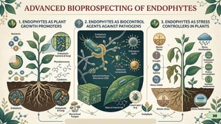 Endophytes and their role in plant disease management | PDF