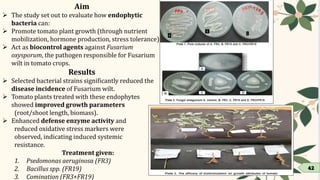Endophytes and their role in plant disease management | PDF