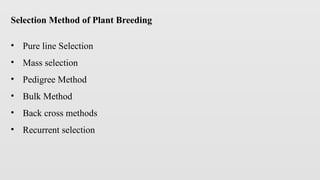 Selection Breeding for Crop Improvement .pptx