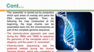  This ‘assembly’ is carried out by computers
which spot areas of overlap and piece the
DNA sequence together. Then, by
following the map constructed at the
beginning, the large chunks can be
assembled back into the chromosomes as
part of the complete genome sequence.
 The clone-by-clone approach was used
during the 1980s and 1990s to sequence
the genomes of the nematode worm ( C.
elegans), and the yeast ( S. cerevisiae) .
 Clone-by-clone sequencing was the
preferred method during the Human
 