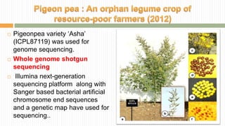  Pigeonpea variety ‘Asha’
(ICPL87119) was used for
genome sequencing.
 Whole genome shotgun
sequencing
 Illumina next-generation
sequencing platform along with
Sanger based bacterial artificial
chromosome end sequences
and a genetic map have used for
sequencing..
 