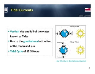 Tidal Currents
                                                                       Ocean Currents




Vertical rise and fall of the water
known as Tides
Due to the gravitational attraction
of the moon and sun
Tidal Cycle of 12.5 Hours


                                      Fig: Tides (due to Gravitational Attraction)



                                                                                     3
 