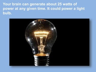 Your brain can generate about 25 watts of
power at any given time. It could power a light
bulb.
 